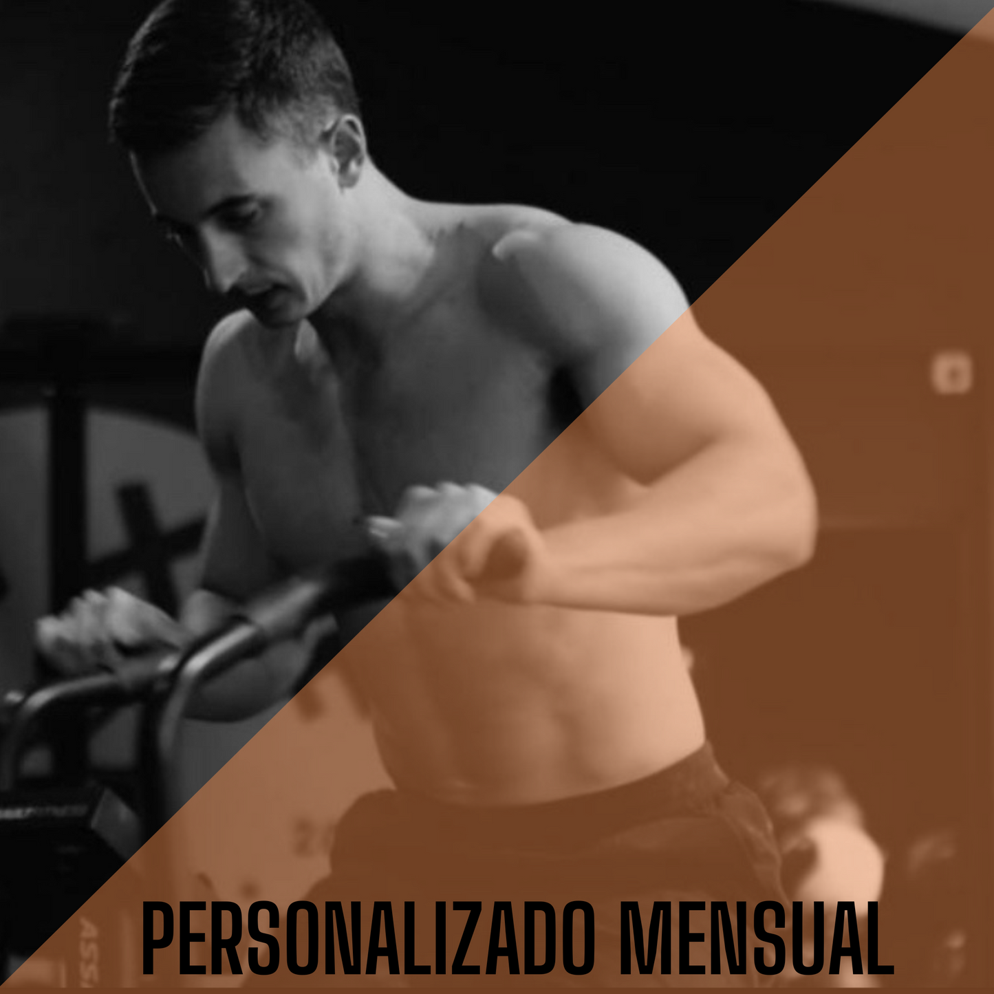 Personalizado Mensual